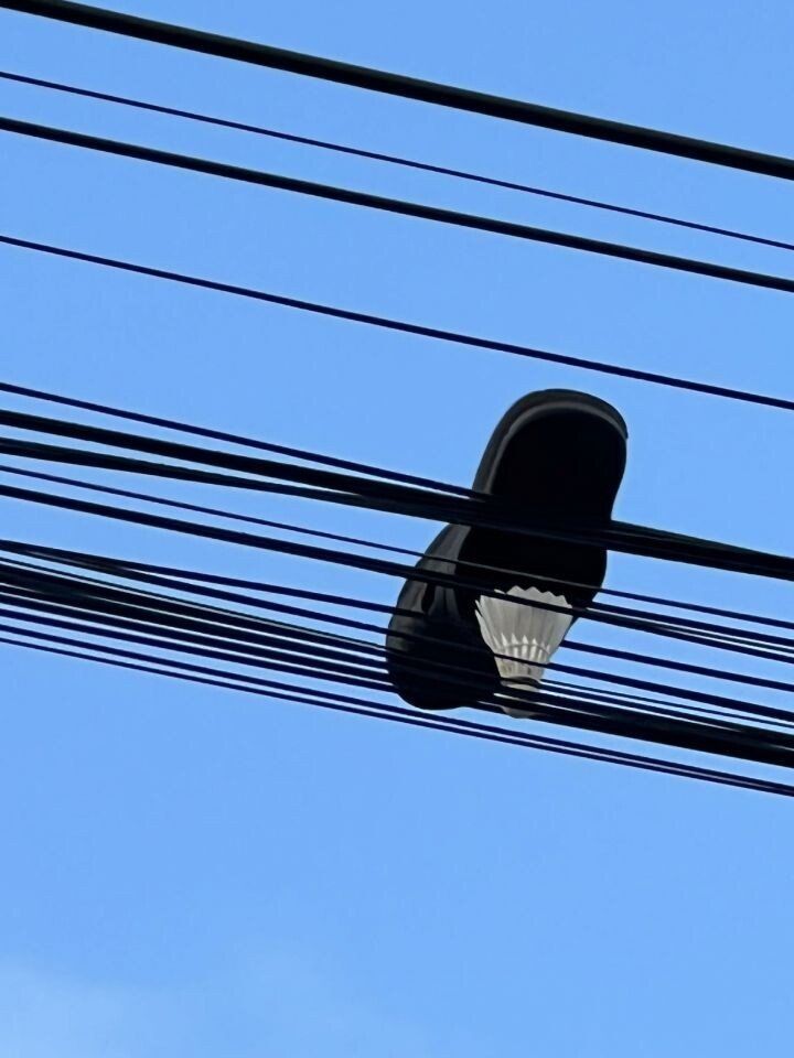 [유머] 서사가 담겨있는 짤 -  와이드섬