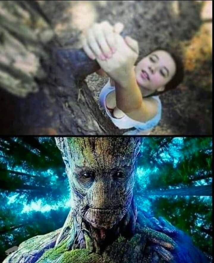 [유머] 아임 그루트 -  와이드섬