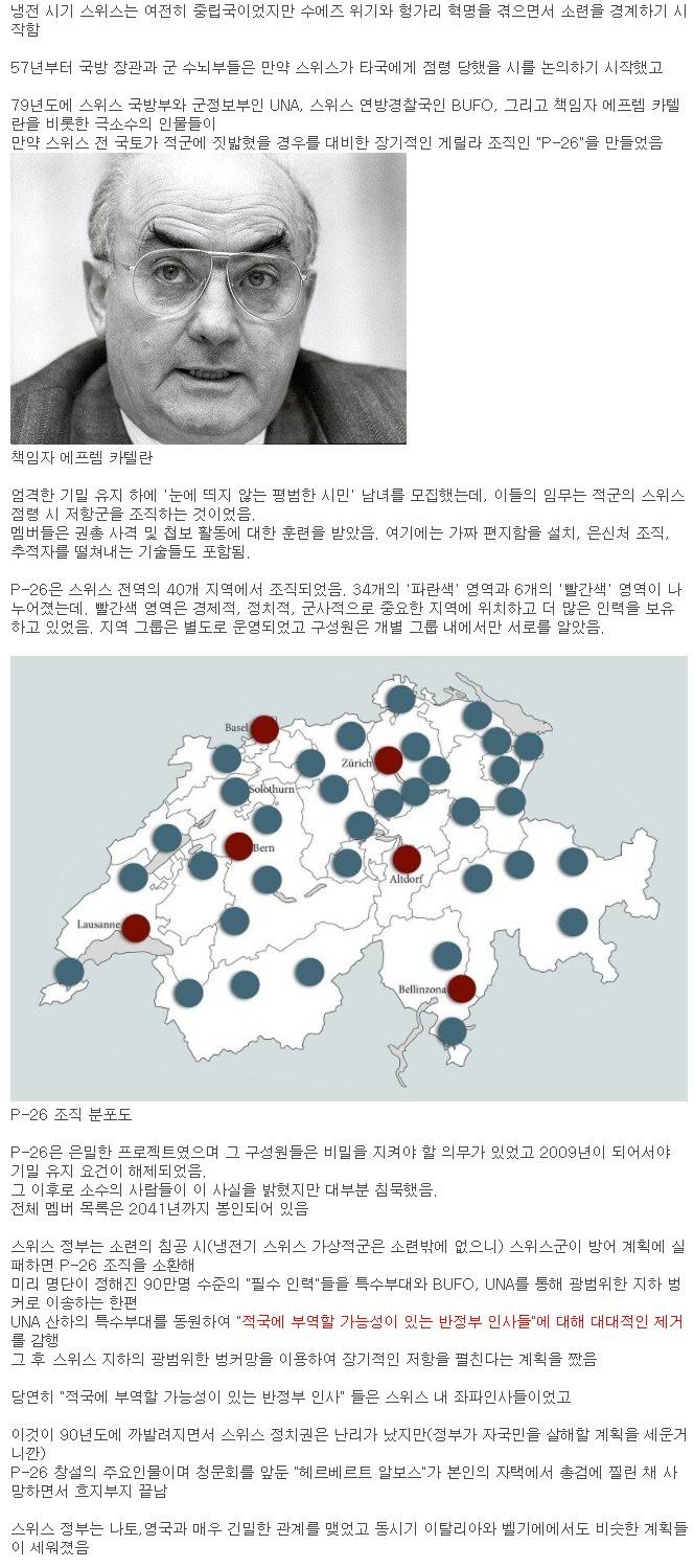 [유머] 스위스의 비밀조직 -  와이드섬