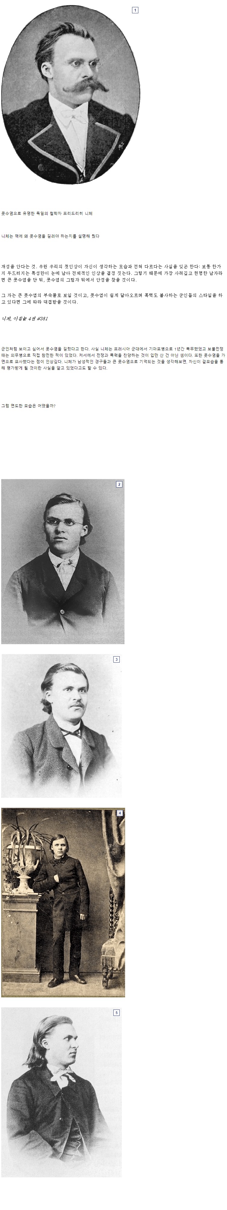 [유머] 니체는 왜 콧수염을 길렀을까? -  와이드섬