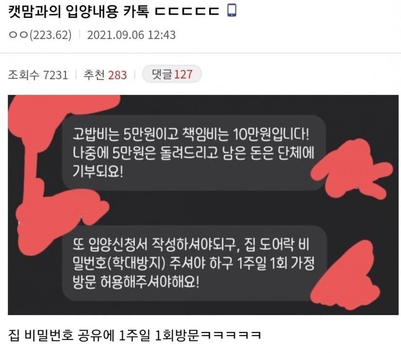 [유머] 캣맘의 입양 조건 -  와이드섬