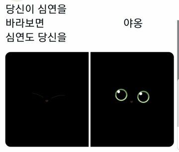 [유머] 애니 캐릭터 같은 고양이 -  와이드섬