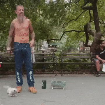 [유머] 개도 속이는능력... -  와이드섬