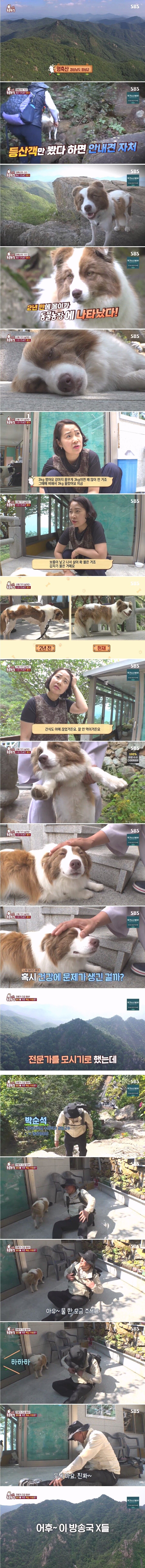 [유머] 동물농장 강아지 건강검진 하러왔다 빡친 수의사 -  와이드섬