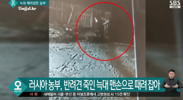 [유머] [유머]
		          러시아 농부 -  와이드섬