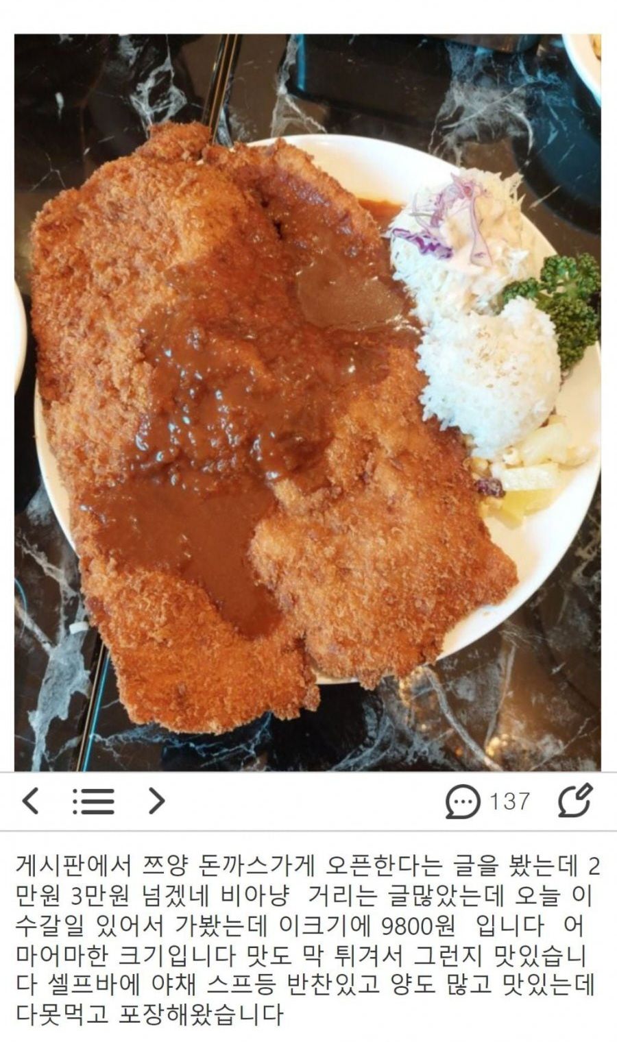 [유머] 쯔양 돈까스 후기 -  와이드섬