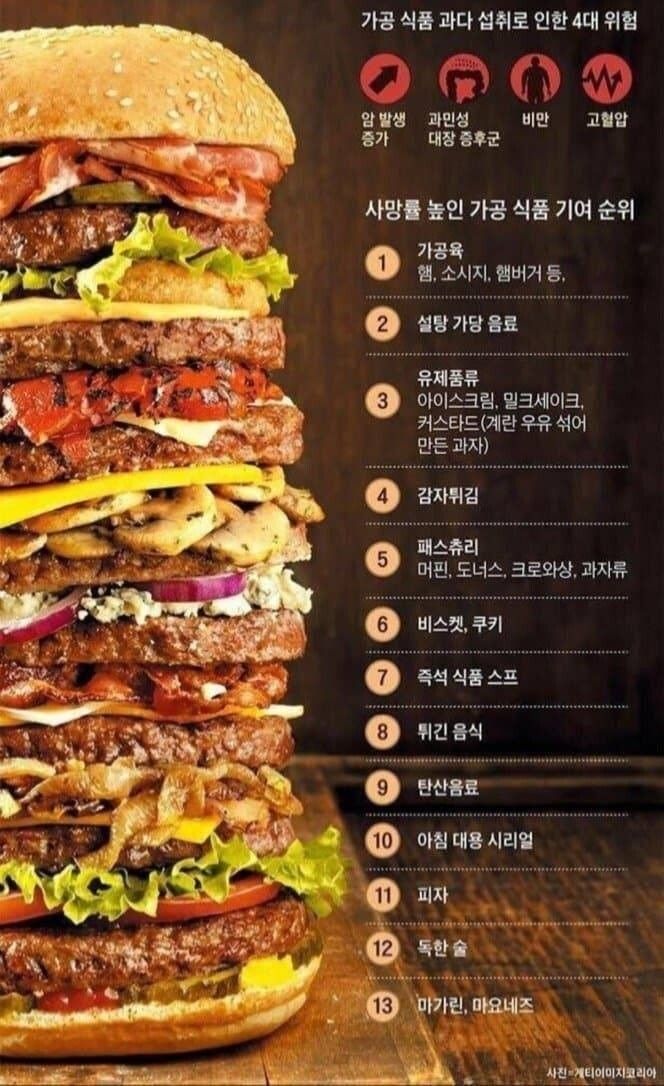 [유머] 세계에서 가장 맛있는 음식 13가지 -  와이드섬