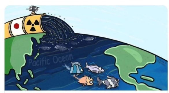 [유머] 올해가 마지막 해수욕장 물놀이려나요?? -  와이드섬