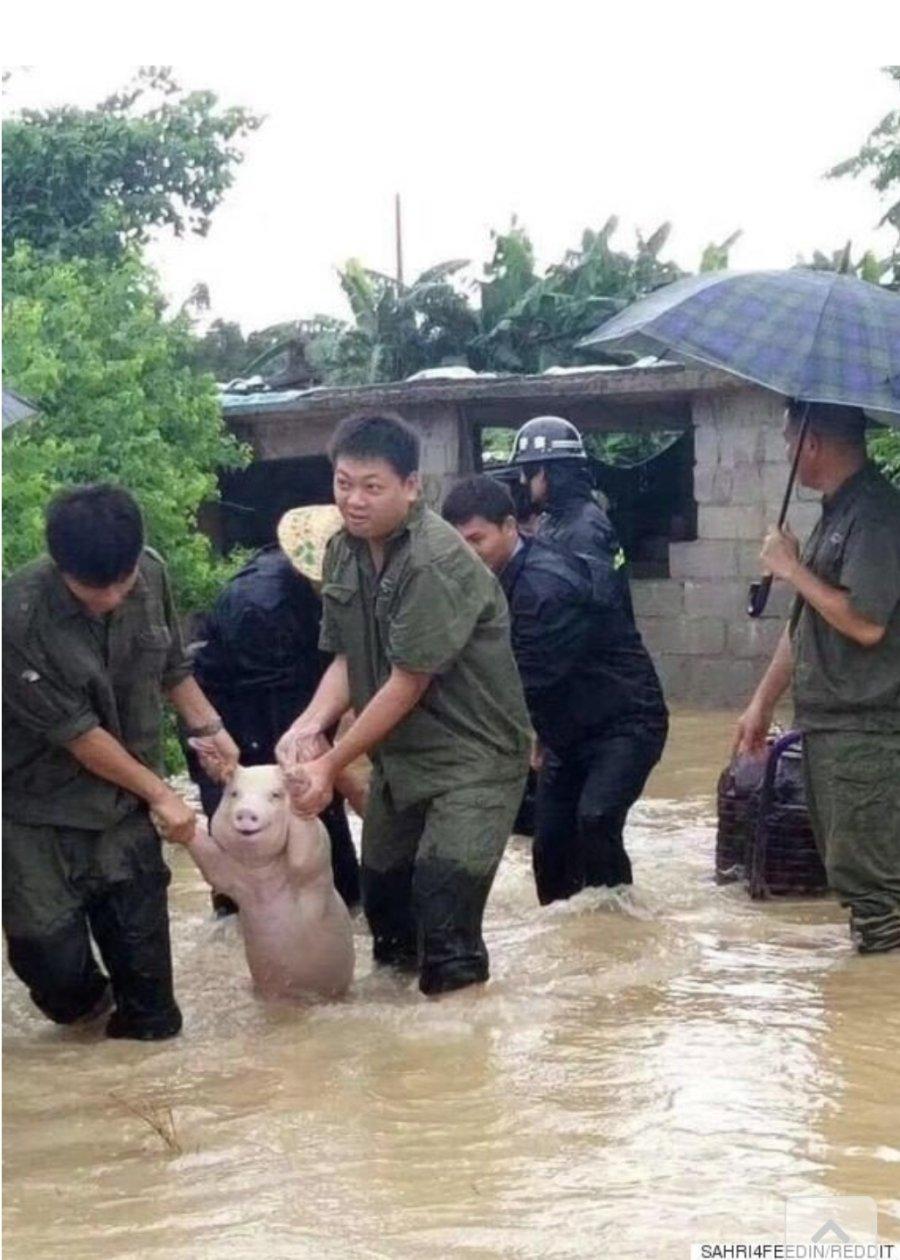[유머] 구출돼서 기쁨 (^_^) -  와이드섬