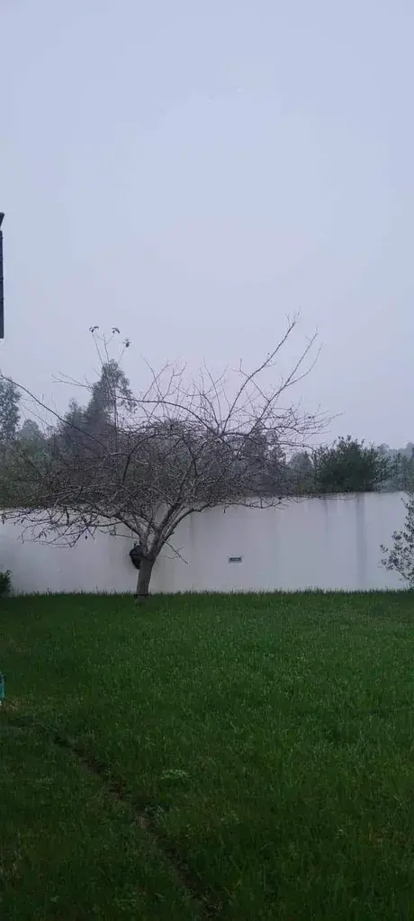 [유머] 벽으로 보이나요? 호수로 보이나요? -  와이드섬