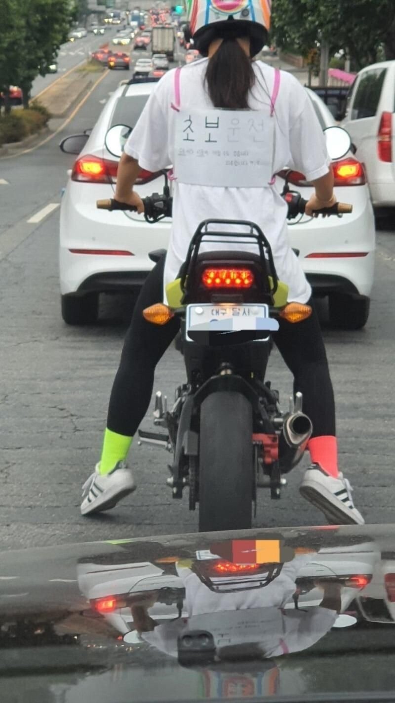 [유머] 대구 초보운전 바이크녀 -  와이드섬