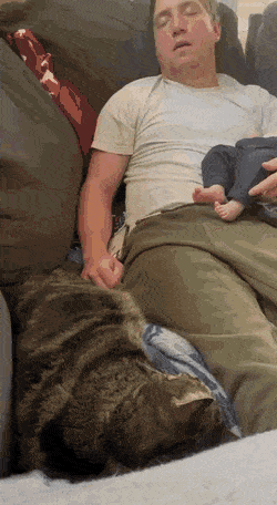 [유머] 모두가 노곤한 세상 -  와이드섬