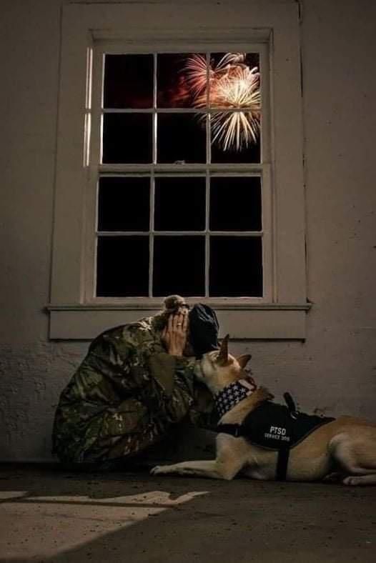 [유머] PTSD -  와이드섬