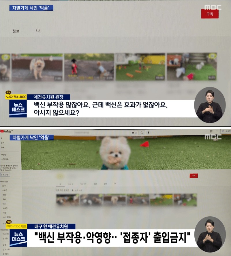 [유머] 백신 접종자 출입금지 시킨 애견 카페 -  와이드섬