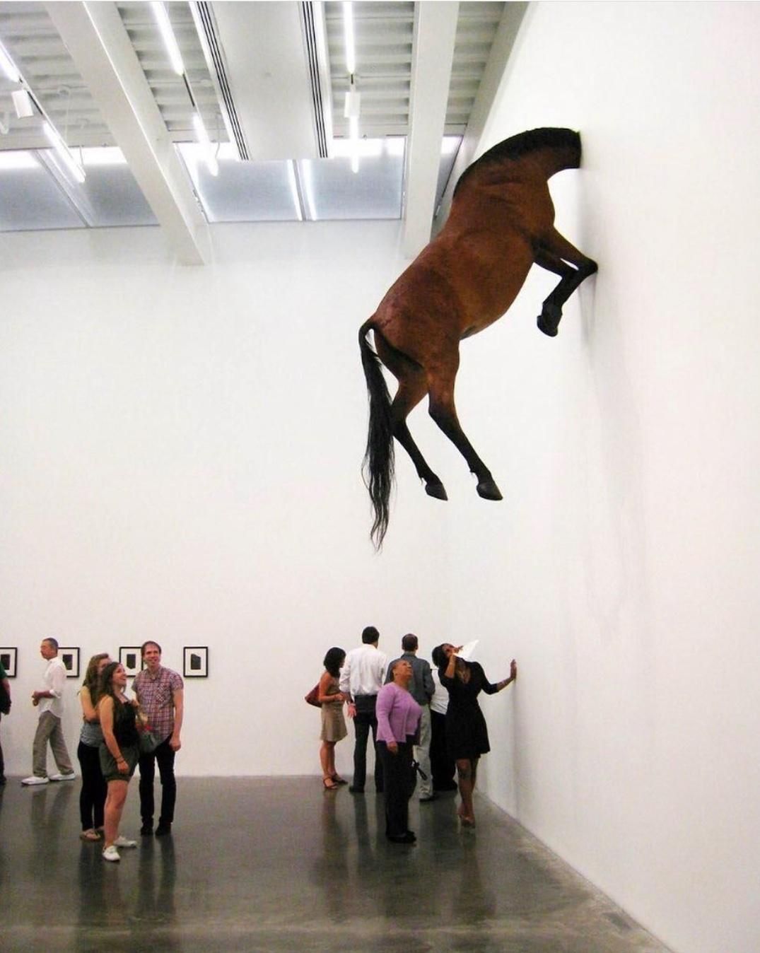 [유머] 에어호스 -  와이드섬