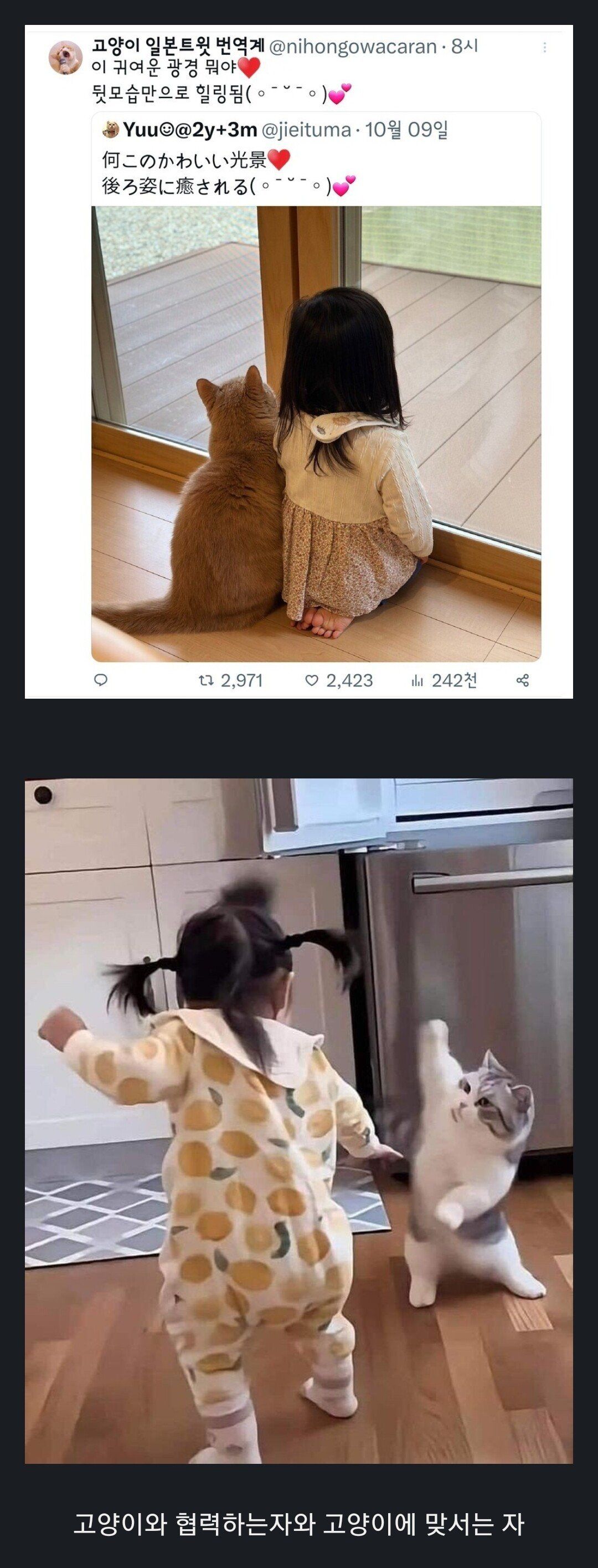 [유머] 세상에 있는 두 가지 타입 -  와이드섬