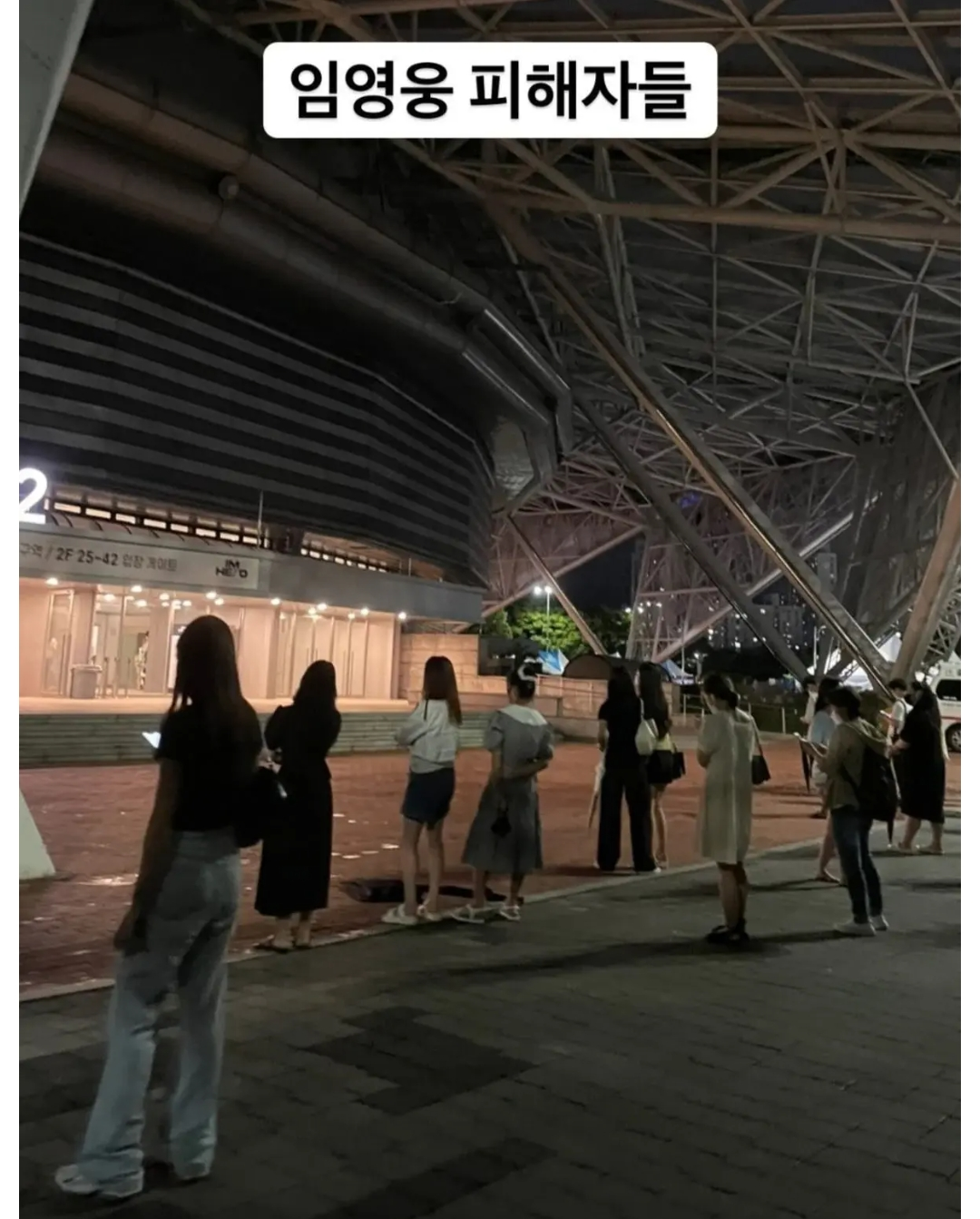 [유머] 임영웅 콘서트 피해자들 -  와이드섬