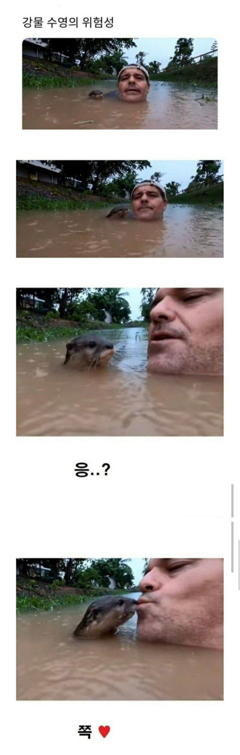 [유머] 응? -  와이드섬