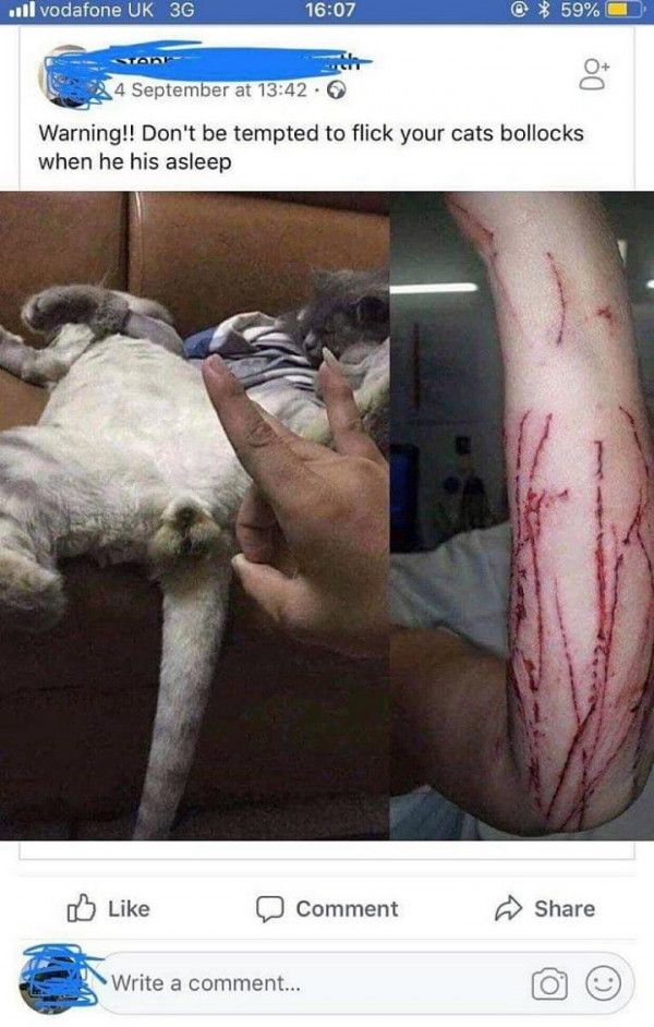 [유머] (약혐) 선이 없는 집사 참교육 -  와이드섬