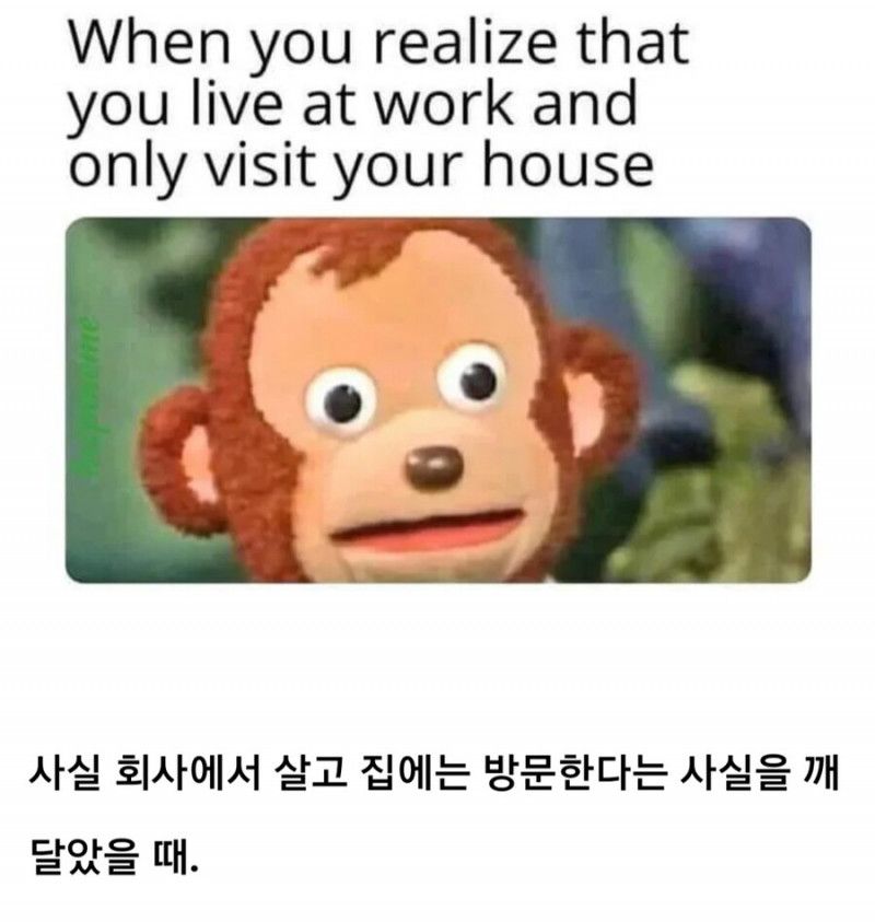 [유머] 의외로 맞는 말 -  와이드섬