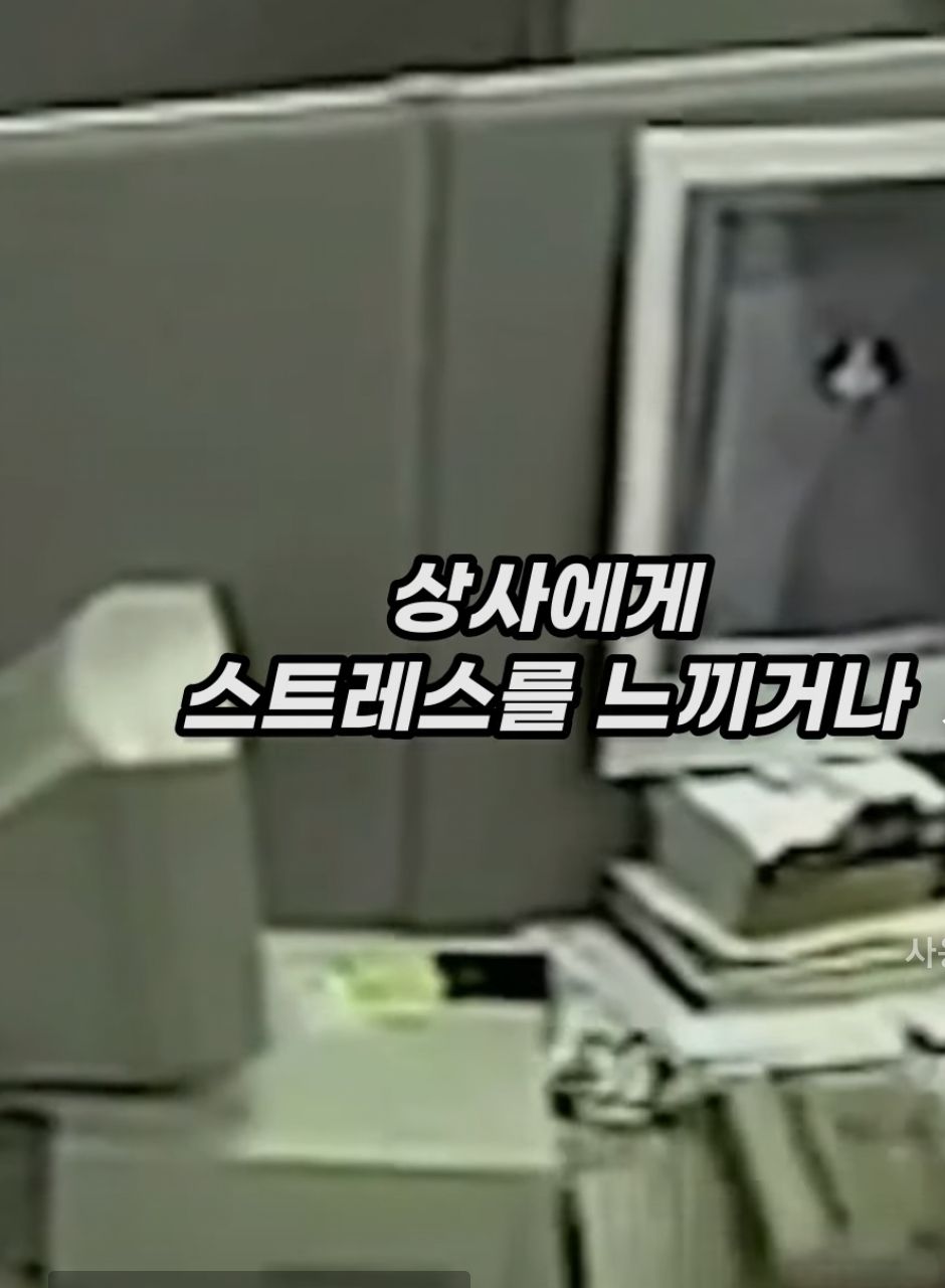 [유머] 여성 심리 안정감용 장난감 -  와이드섬