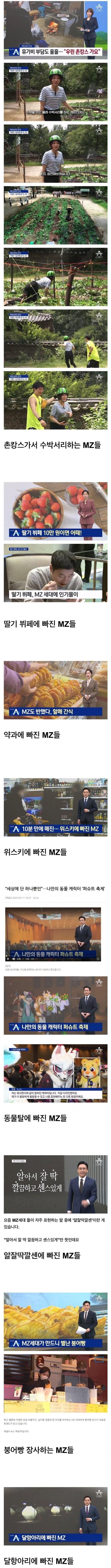 [유머] 뉴스에 나오는 요즘 MZ세대들 -  와이드섬