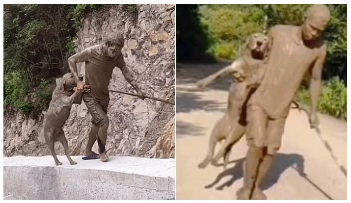 [유머] 개 키우지 말라는 경험담. -  와이드섬