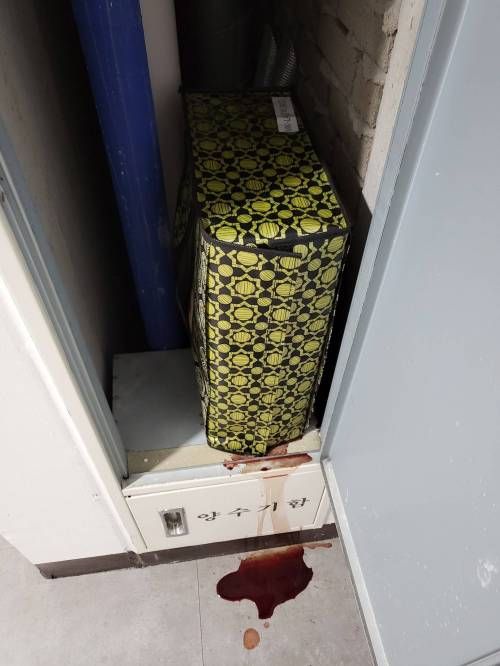 [유머] 추석 연휴에 집에서 쉬다가 식겁함 -  와이드섬