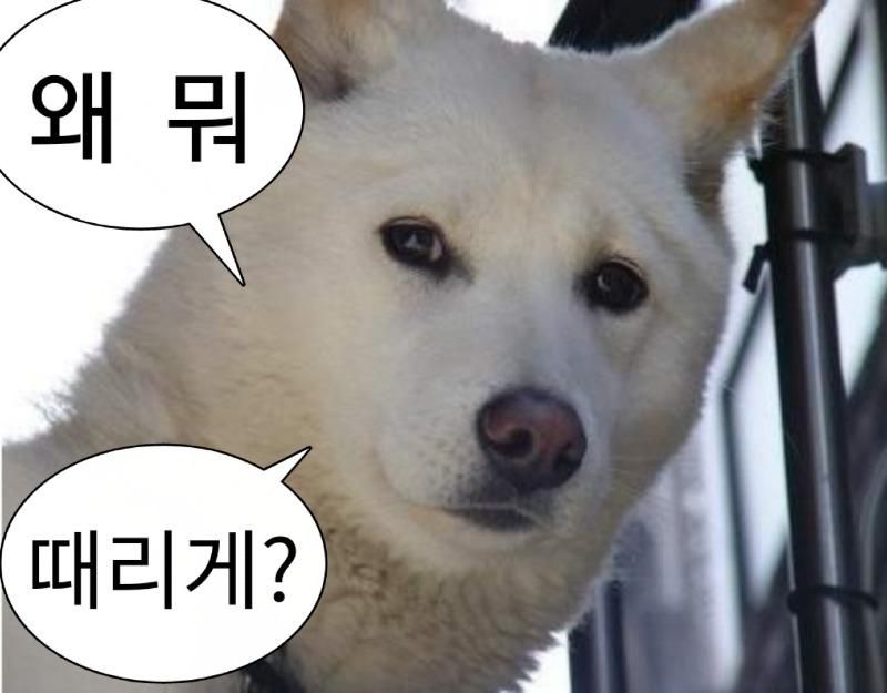 [유머] 요즘 필터의 위엄 -  와이드섬