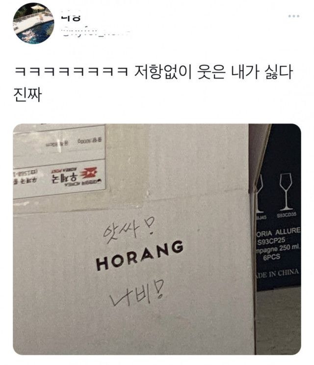 [유머] 저항없이 웃는 내가 싫다 -  와이드섬