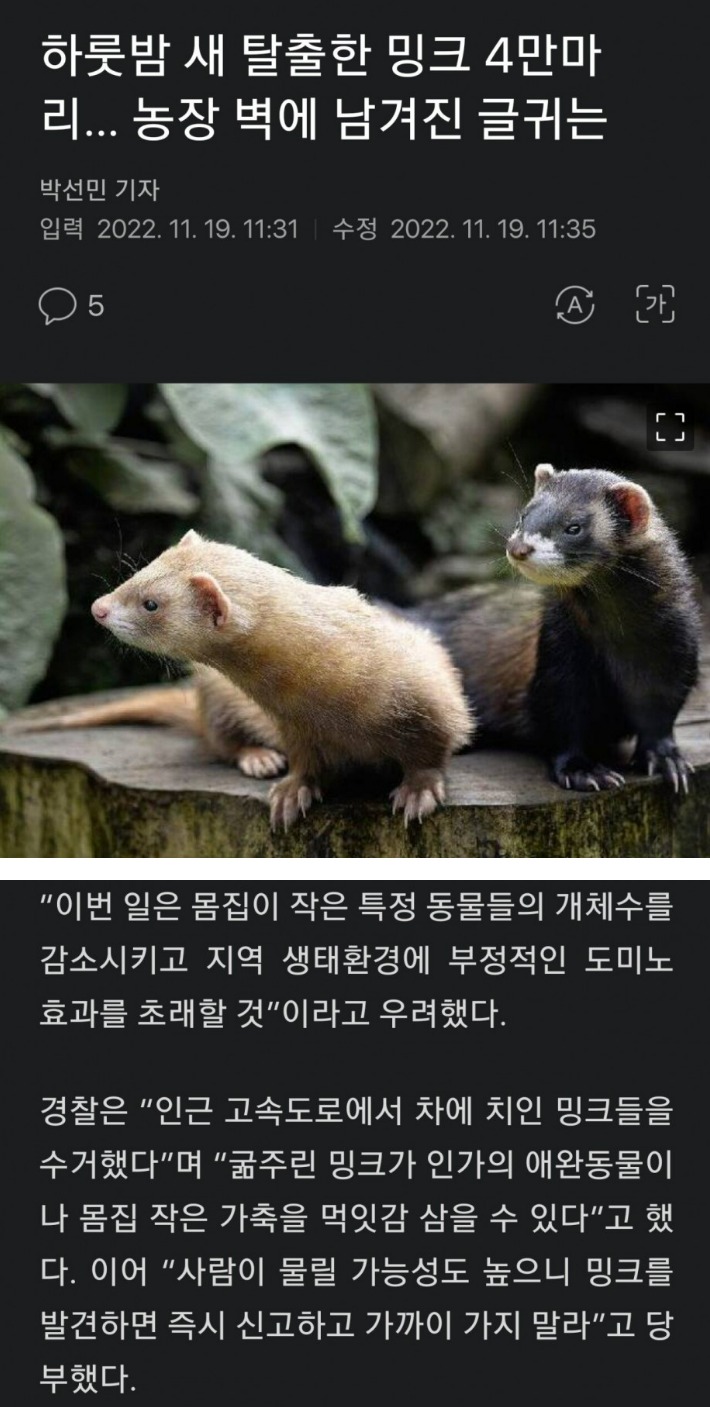 [유머] 동물단체의 무단 방사 -  와이드섬