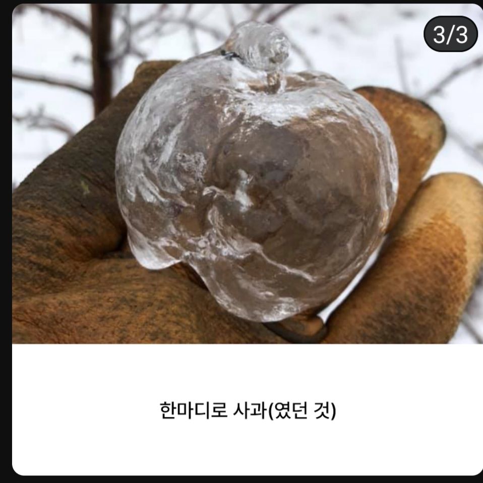 [유머] 고스트 애플 -  와이드섬