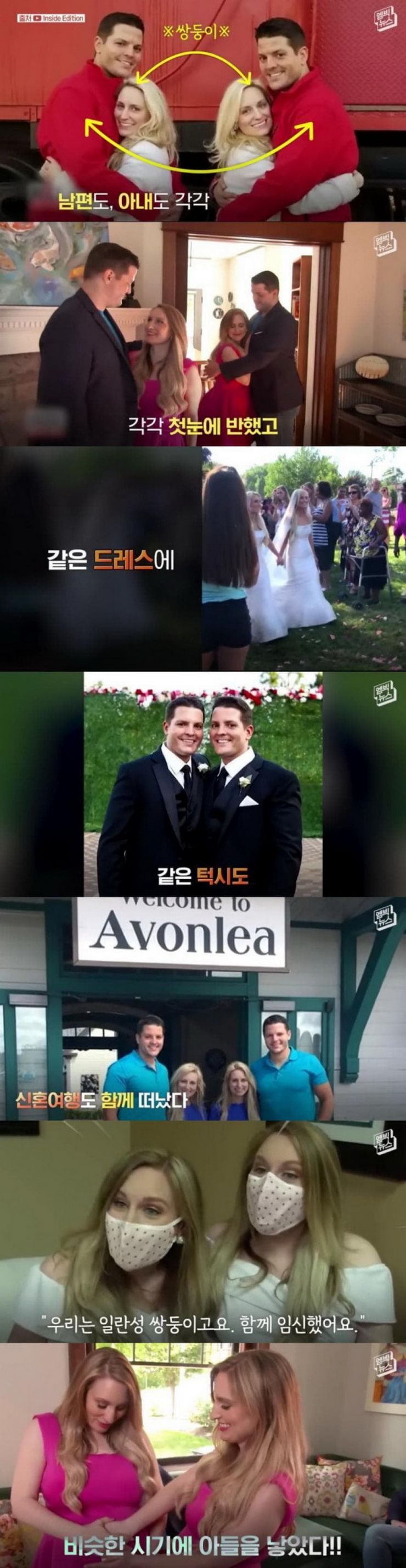 [유머] 일란성 쌍둥이끼리 결혼하면 -  와이드섬