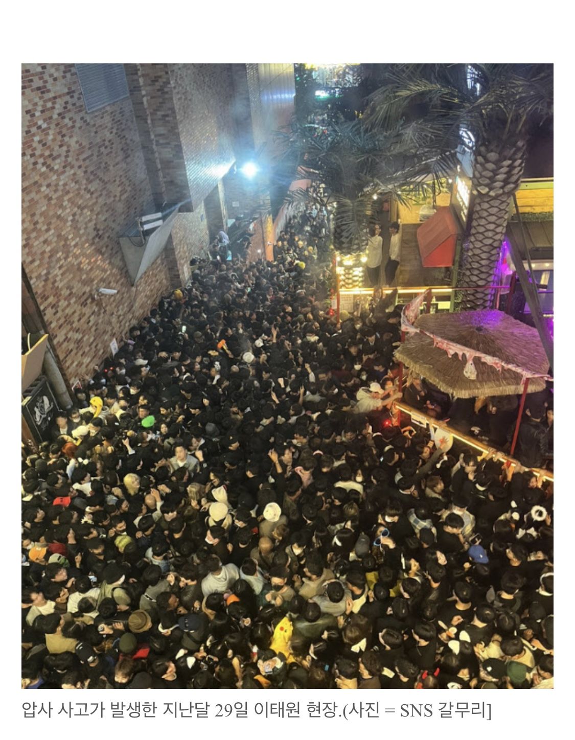 [유머] 이태원 토끼머리띠男, 경찰 조사서 증거 제출 -  와이드섬