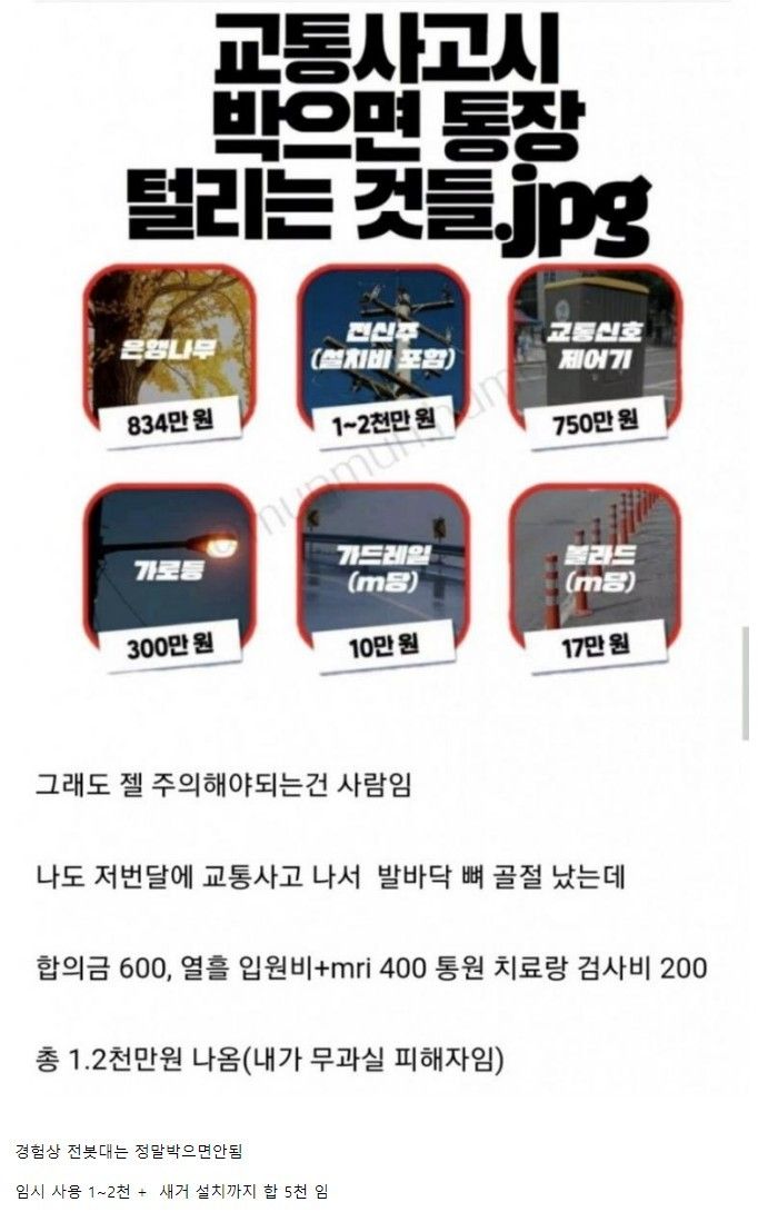 [유머] 교통사고시 박으면 통장 털리는 것들 -  와이드섬