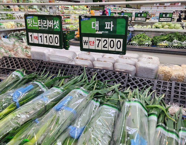 [유머] 대파 가격 근황 -  와이드섬