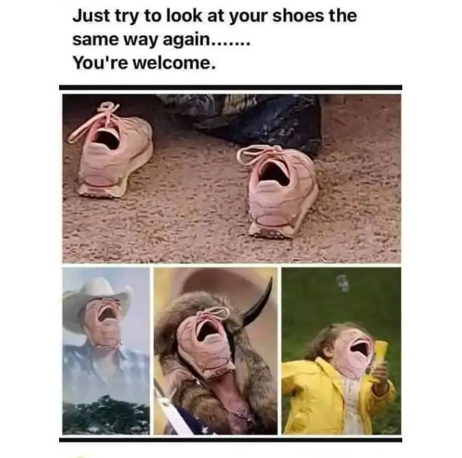 [유머] 생긴게 참 -  와이드섬