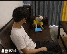 [유머] [유머]
		          진짜 개빡침 -  와이드섬