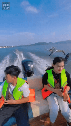 [유머] 어쩌다 야생 팀의 리더가 됨. -  와이드섬