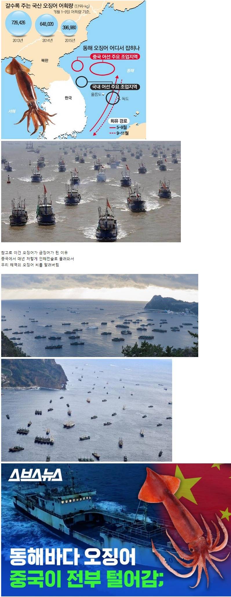 [유머] 한국인들이 가장 좋아하는 수산물 -  와이드섬