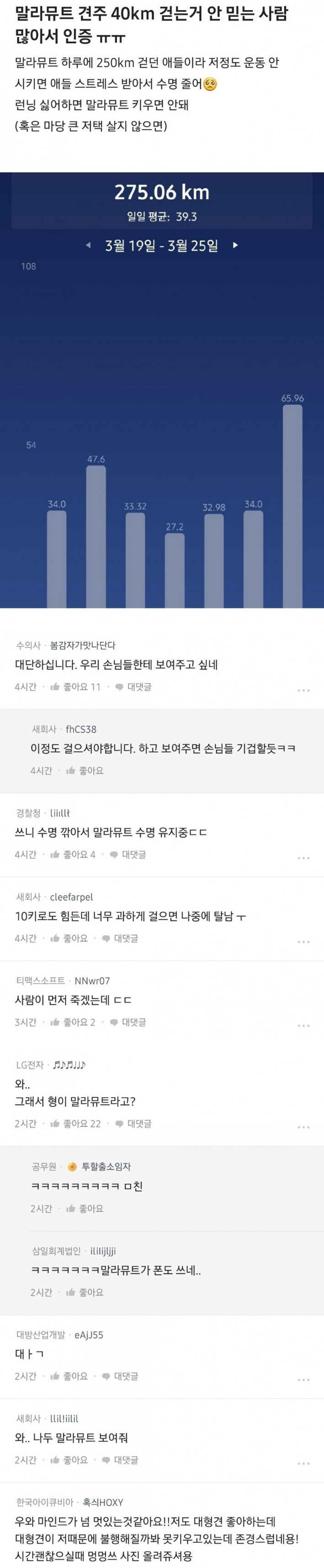 [유머] 하루 40킬로미터 산책 -  와이드섬