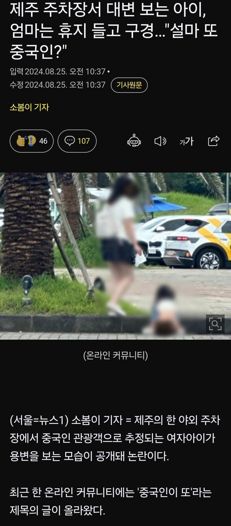 [유머] 제주 주차장서 대변 보는 아이, 엄마는 휴지 들고 구경…설마 또 중국인? -  와이드섬