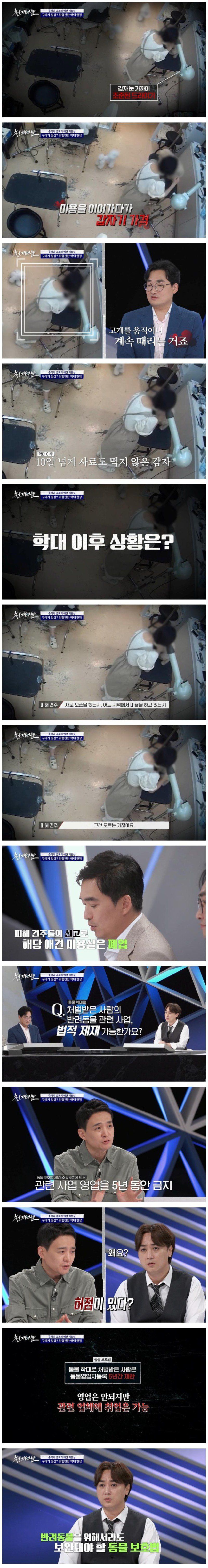 [유머] 강아지들 구타하고 학대해서 난리난 애견미용실 CCTV -  와이드섬