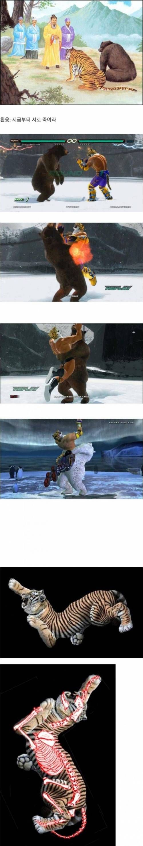 [유머] 한반도가 호랑이 모양인 이유 -  와이드섬