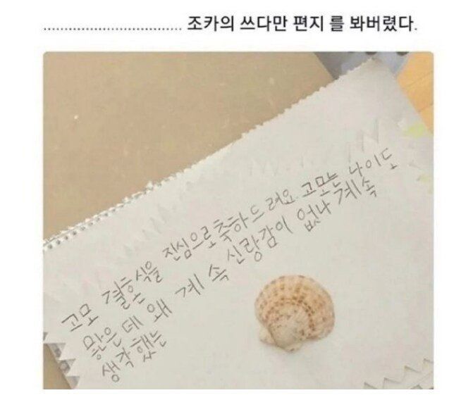 [유머] 고모의 결혼을 축하하는 조카 -  와이드섬