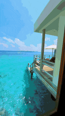 [유머] [힐링] 몰디브~ -  와이드섬