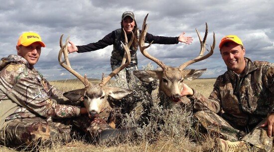 [유머] 엄청난 사슴 가이즈 -  와이드섬
