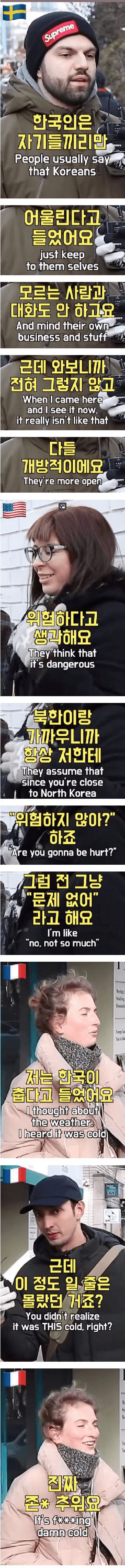 [유머] 외국인들이 한국에 갖고 있던 편견 -  와이드섬