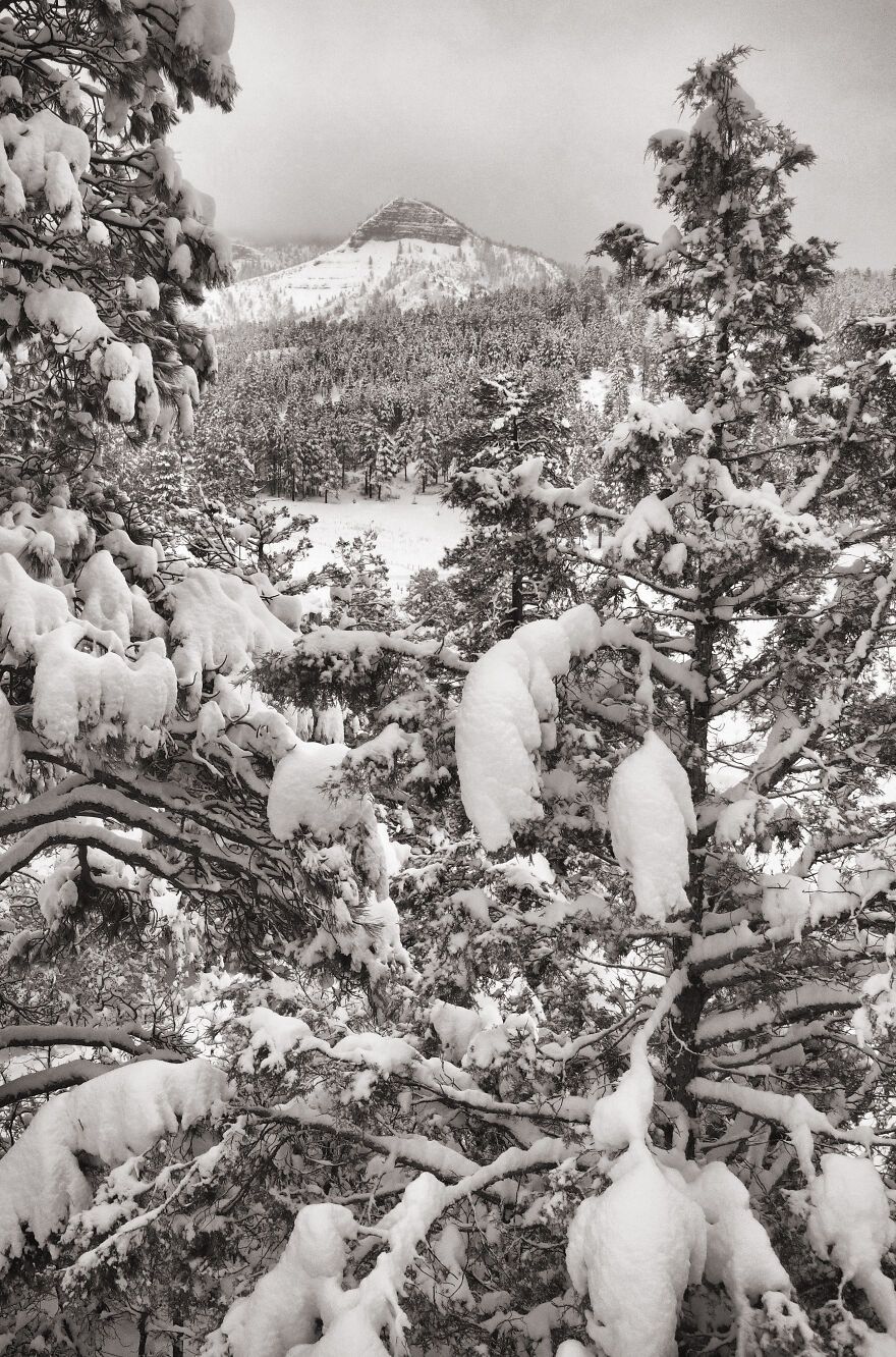 [유머] 겨울 사진 -  와이드섬