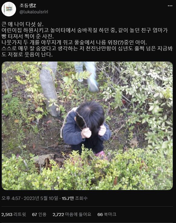 [유머] 완벽한 위장 -  와이드섬